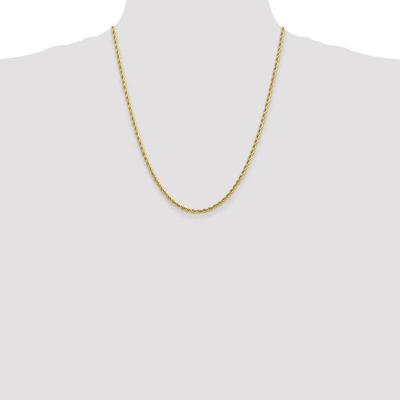 2.75mm 10k Yellow Gold Diamond Cut Solid Rope Chain Necklace, 22 Inch - Picture 2 of 8